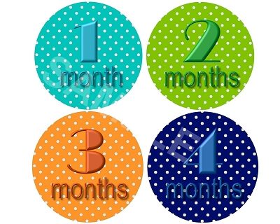 Robert - Happy Polkadots Monthly Photo Stickers