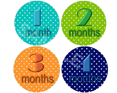 Robert - Happy Polkadots Monthly Photo Stickers