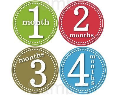 Ryan - Lil Colorful Man Monthly Photo Stickers