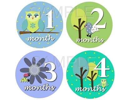 Sylvain - Sweet Owl Birds & Nature Monthly Photo Stickers