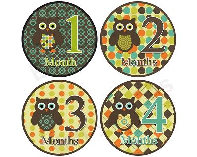 Tanner - Woodland Owls Monthly Photo Stickers