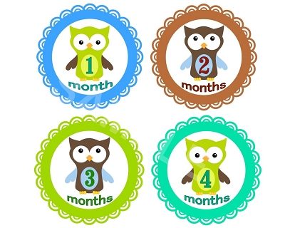 Thomas - Cute Owl Boy Monthly Photo Stickers