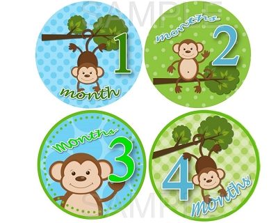 Travis - Swinging Monkey Boy Monthly Photo Stickers