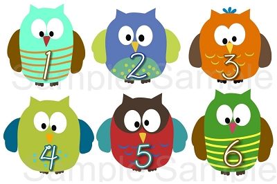 Tyler - Super Cute and Colorful Owl Boys Monthly Photo Stickers