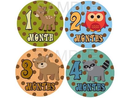 Xavier - Cutest Woodland and Jungle Friends Monthly Photo Stickers