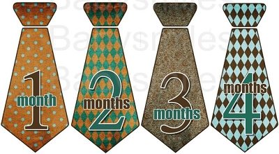 Moxie - Nice Brown and Teal Pattern Monthly Photo Stickers
