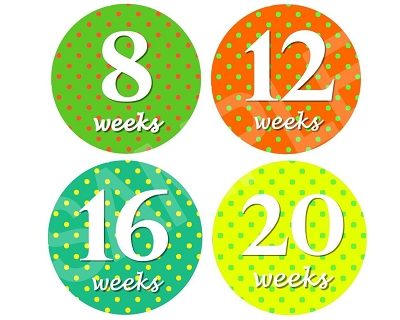 Brooke - Happy Life Monthly Photo Stickers