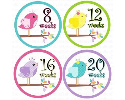Destiny - Sweet Birds Monthly Photo Stickers