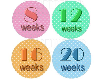 Elle - Sweet Polkadots Monthly Photo Stickers