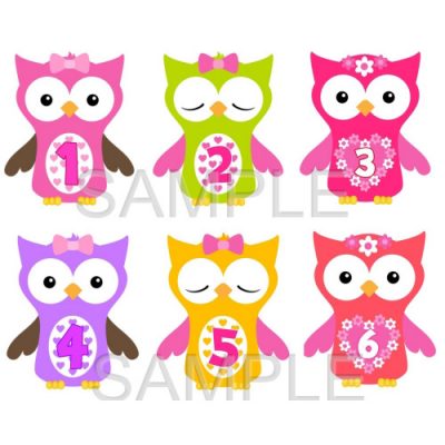 Baby Girl Milestone Stickers